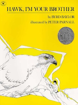 cover image of Hawk, I'm Your Brother